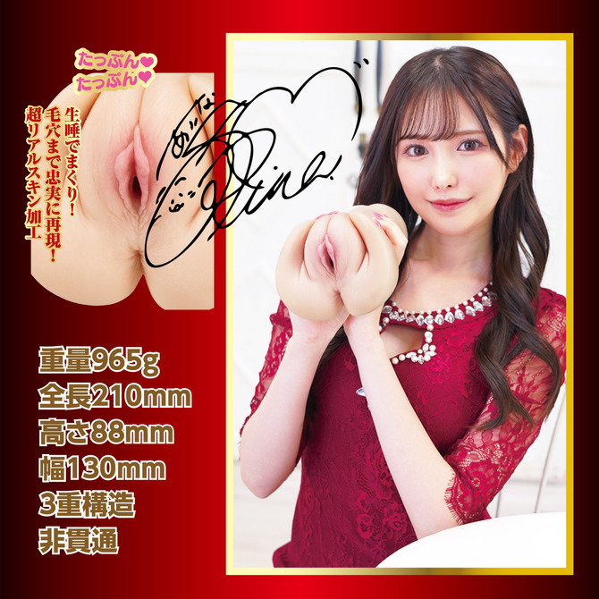 NPG(日本) 光榮傑作 橋本有菜飛機杯 - 18HK