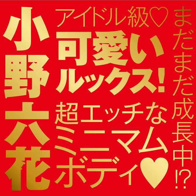 EXE(日本) Japanese Real Hole 激 小野六花名器 女優飛機杯