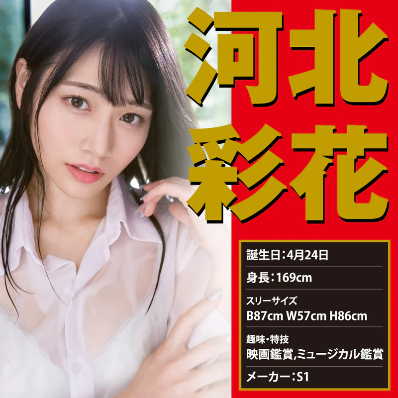 EXE(日本) JAPANESE REAL HOLE 激 河北彩花名器 飛機杯